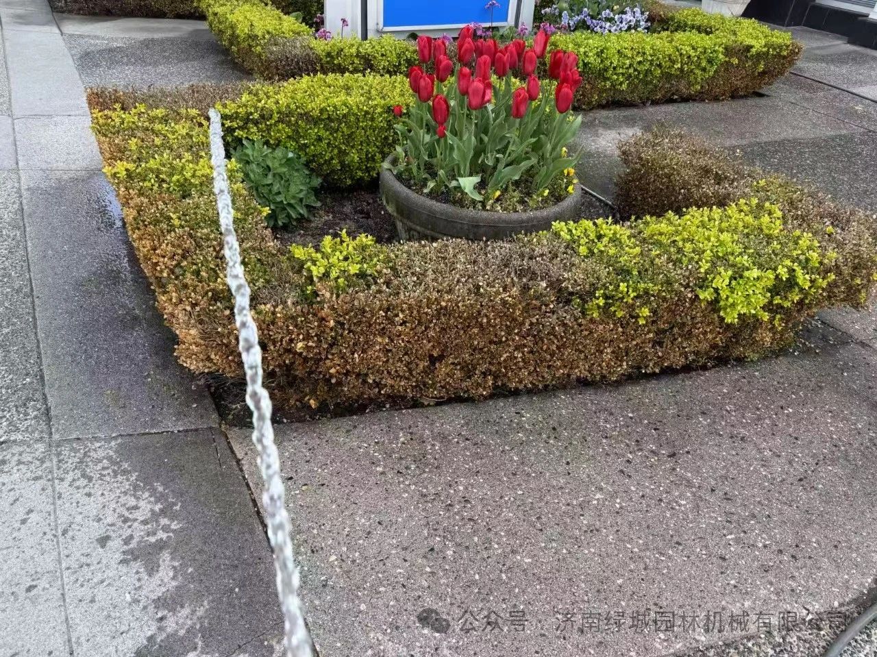 ͼƬ