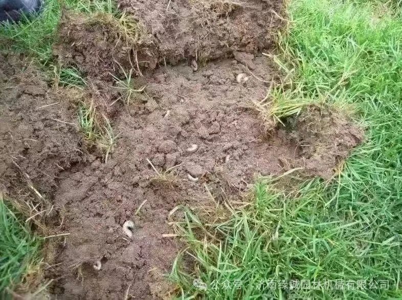 ͼƬ