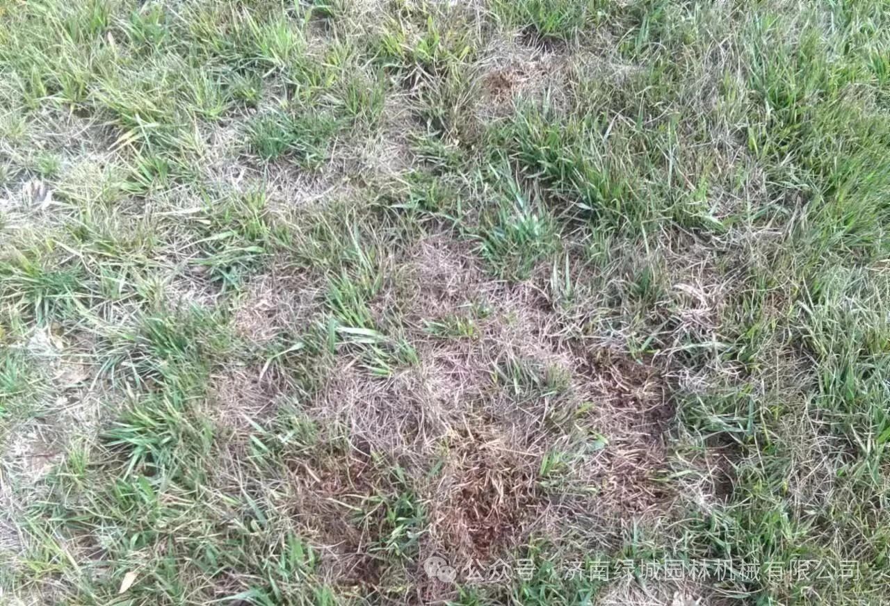 ͼƬ