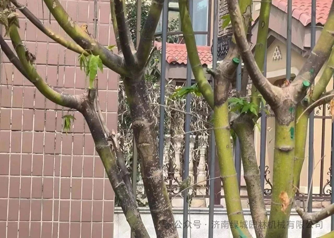 ͼƬ