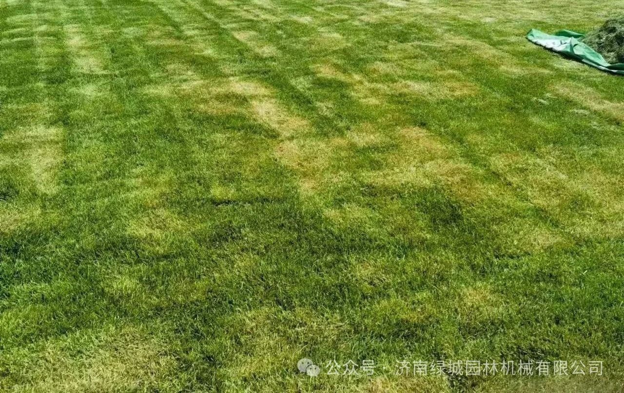 ͼƬ