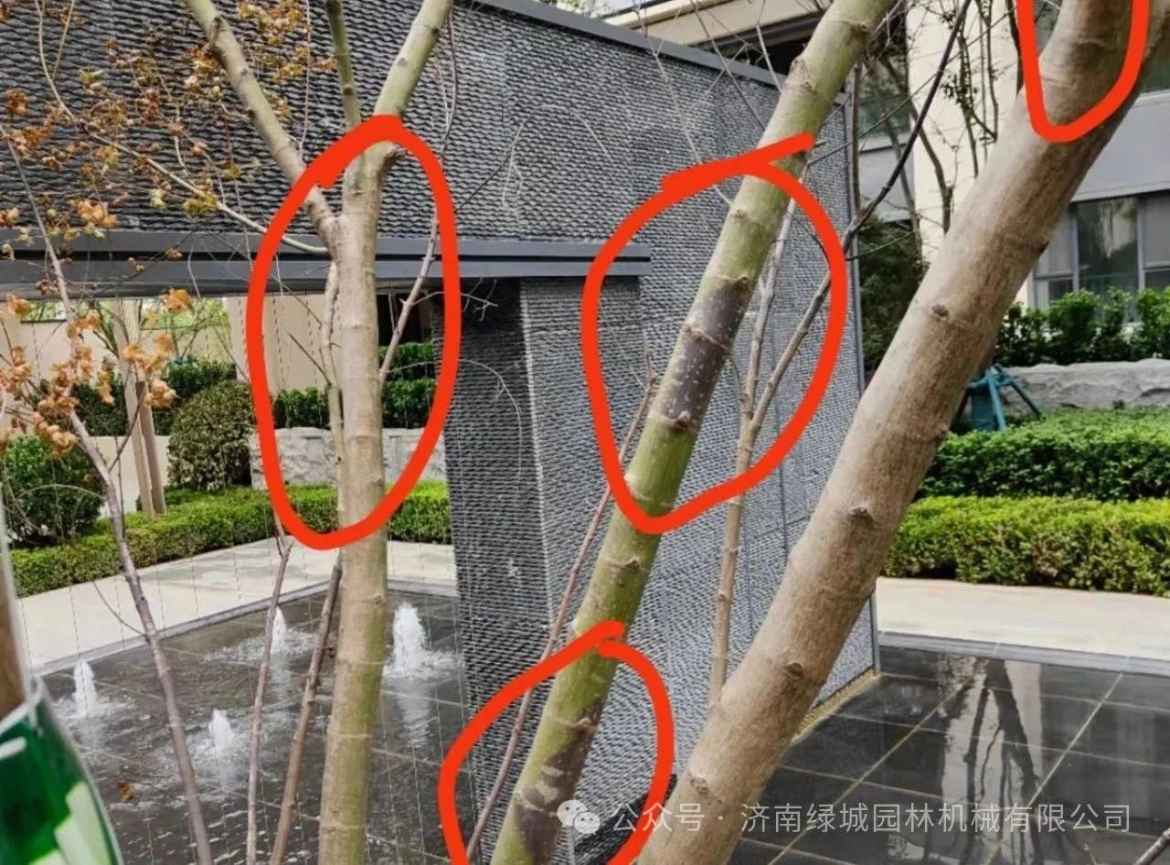 ͼƬ