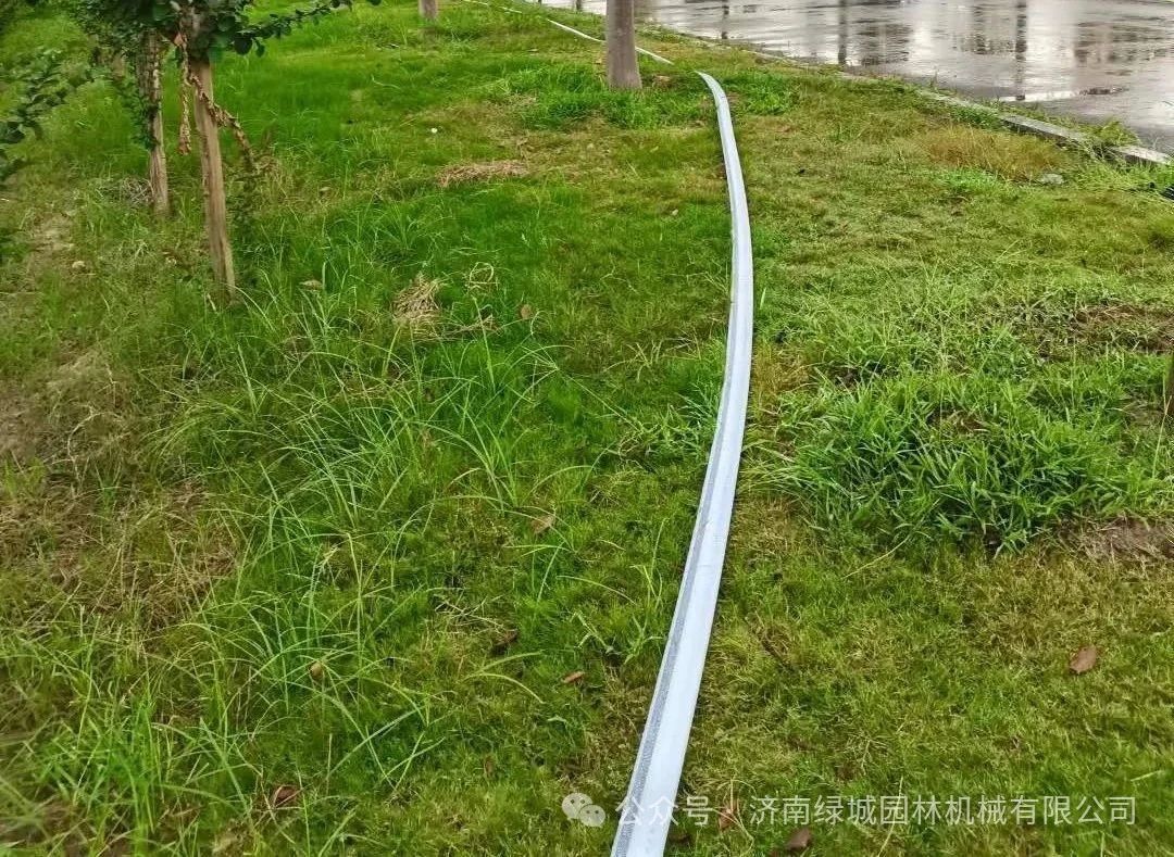 ͼƬ