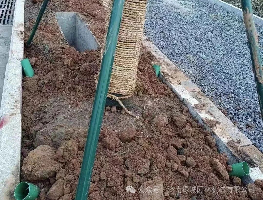 ͼƬ