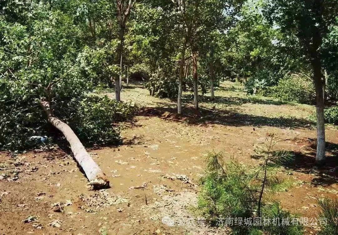 ͼƬ